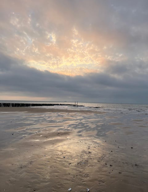 charlotte-van-vliet-voorbeeld-2