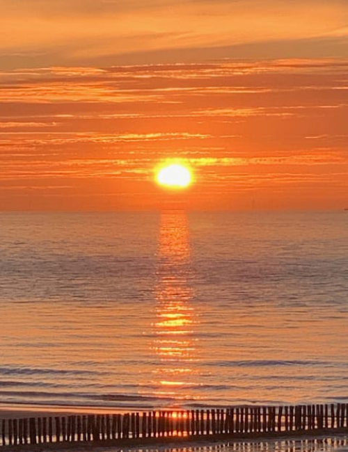 charlotte-van-vliet-voorbeeld-3