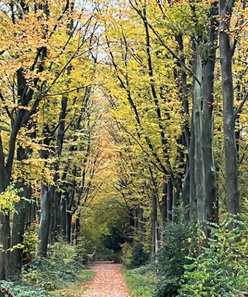 tarieven-4-charlotte-van-vliet