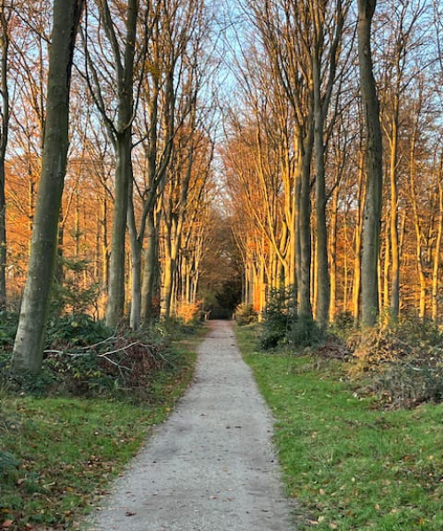 tarieven-6-charlotte-van-vliet