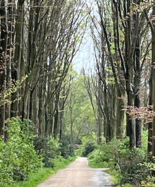 tarieven-7-charlotte-van-vliet